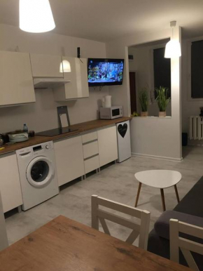 Apartament przy Termach - Jelenia Góra - Cieplice Śl.
